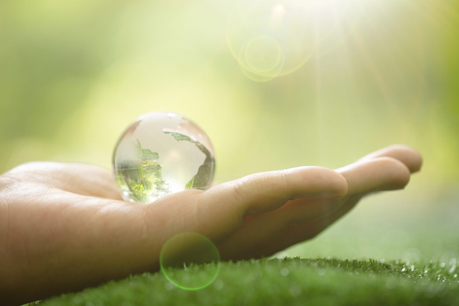 ISO 14001:2015 Sistem menadžmenta životnom sredinom Vi&scaron;e &mdash; EVROCERT